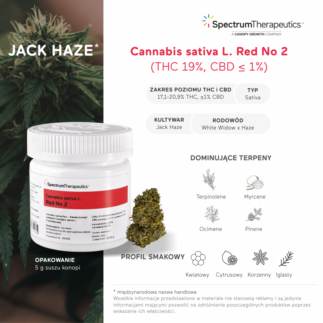 Jack Haze – odmiana medycznej marihuany