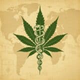 Medyczna Marihuana - Kompleksowy Przewodnik (Polska 2025)