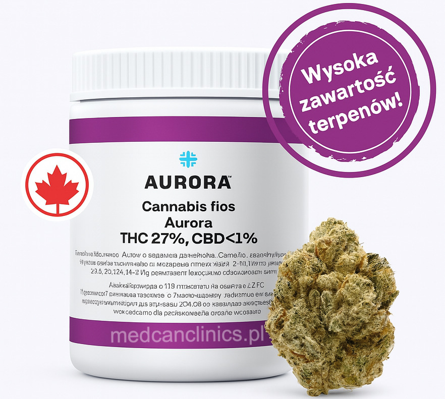 Aurora Farm Gas 27% THC – odmiana medycznej marihuany