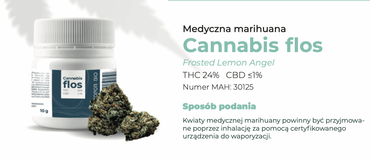 Frosted Lemon Angel PhytoPūr Bio – (THC 24%) odmiana medycznej marihuany