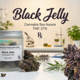 Black Jelly (Cannabis flos Aurora THC 27) – odmiana medycznej marihuany